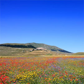 Castelluccio di Norcia