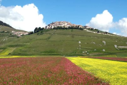 Prodotti Castelluccio di Norcia