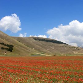 Prodotti Castelluccio di Norcia