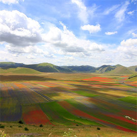 Lenticchia Castelluccio di Norcia