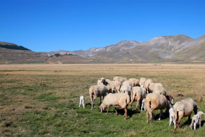 Ristorante Castelluccio di Norcia