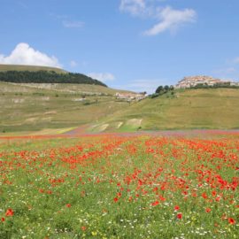 Ristorante Castelluccio di Norcia